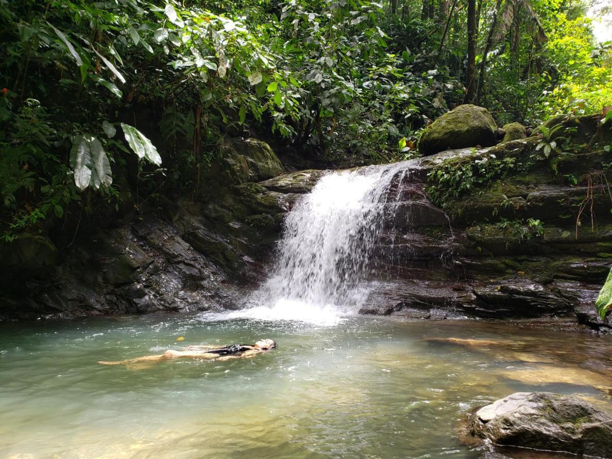 Finca Tres Equis - Farm And Forest المظهر الخارجي الصورة
