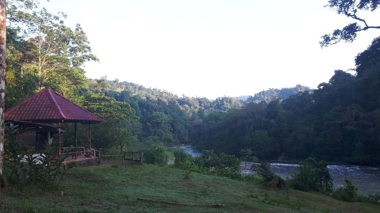Finca Tres Equis - Farm And Forest المظهر الخارجي الصورة